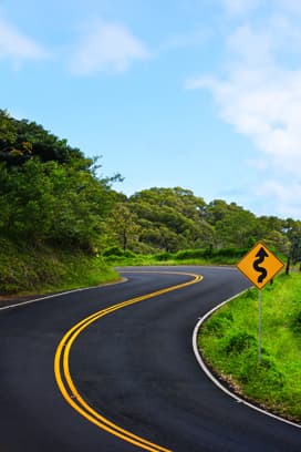 Road and trees